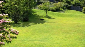 gemähter garten von vorteil