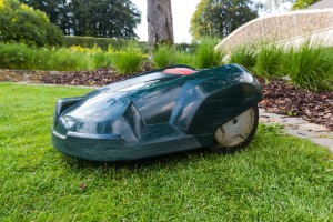 mähroboter garten